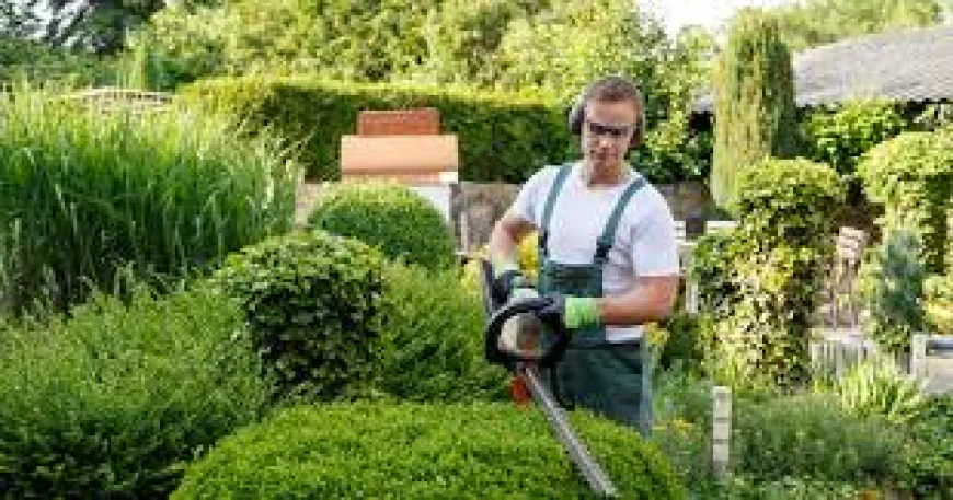 Gardening Services in Canberra: Transform Your Outdoor Space with Expert Care