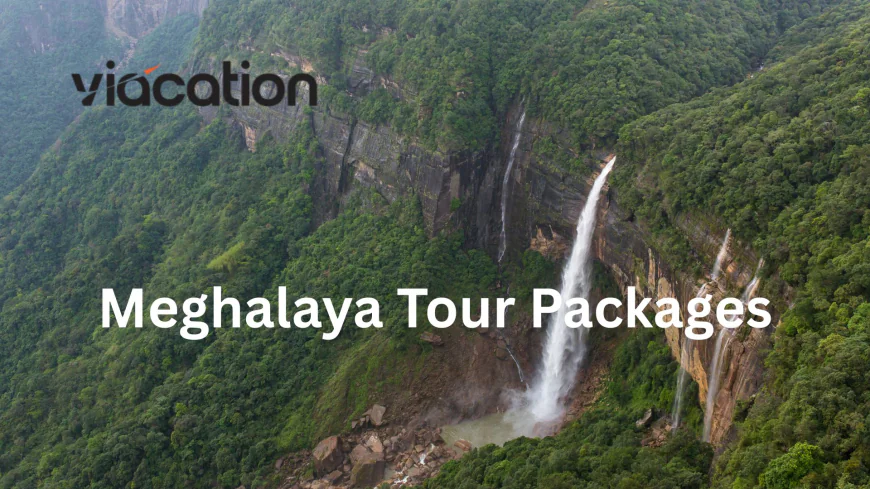Luxury Meghalaya Tour Packages – Premium Stays & Private Tours