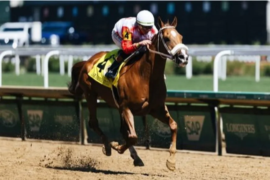 Horse Racing in Chennai: Madras Race Club Guide