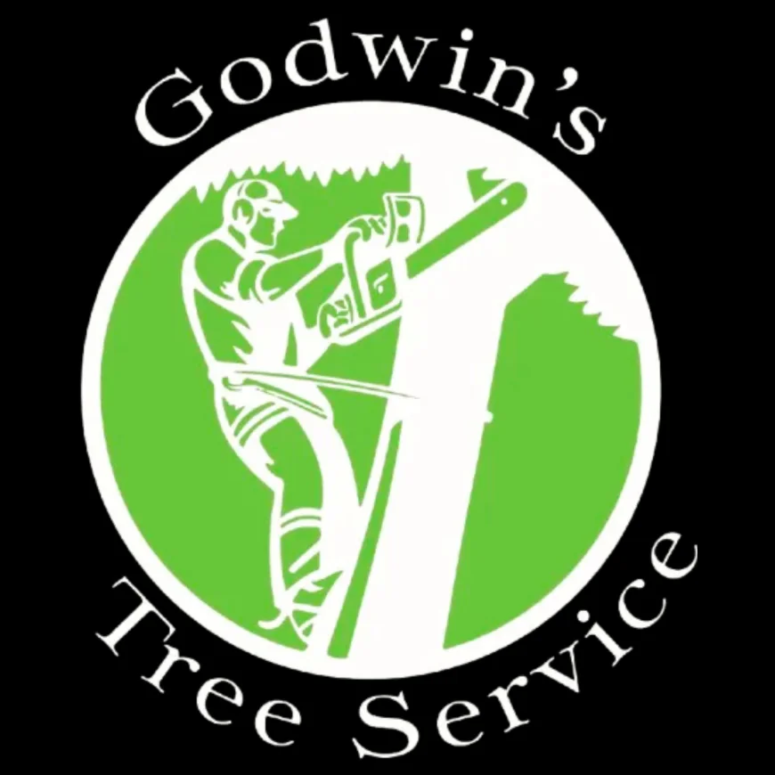 Top Rated Professional Tree Care Services for Homes