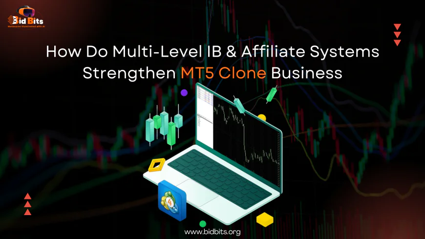 How Do Multi-Level IB & Affiliate Systems Strengthen MT5 Clone Business