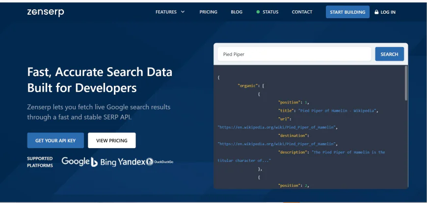 How a SERP Scraping API Makes Search Data Collection Faster and Smarter