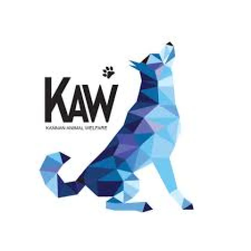 How Your Support and Donation Helps Save Animals Creates Real Change for Stray and Injured Animals