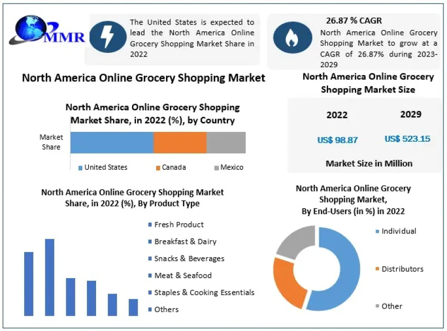 North America Online Grocery Shopping Market Innovations Revolutionizing Retail Supply Chains