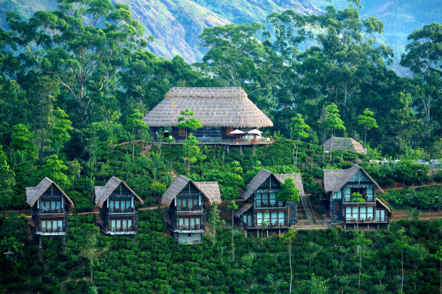 Why Sri Lanka Is Becoming One of the Most Romantic Destinations for Couples