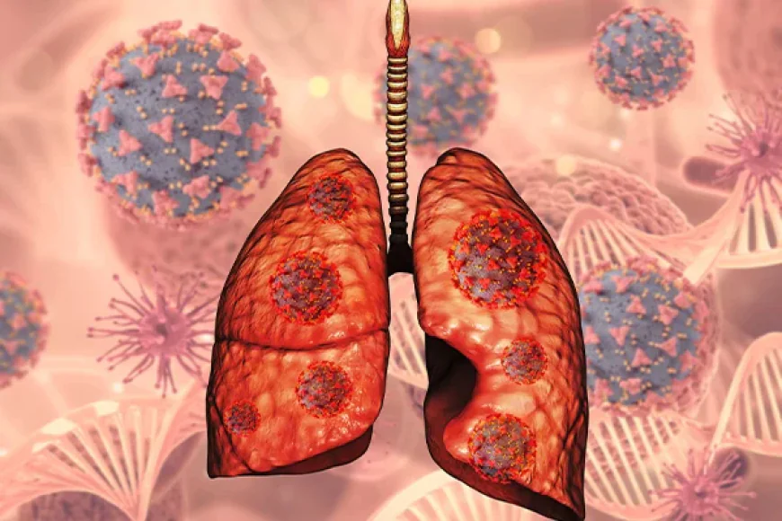 What is Cervical Cancer? Understanding Symptoms, Causes, and Treatment Options