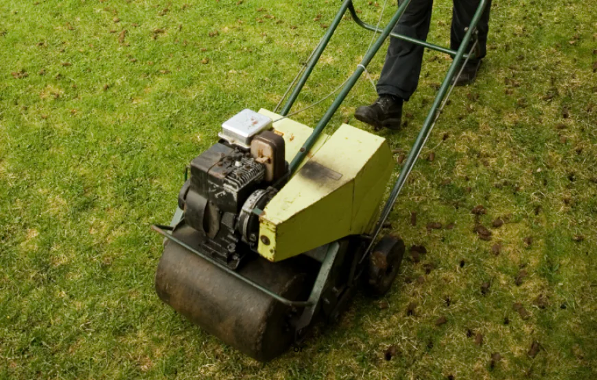 Why a Premium lawn aeration service is Essential for BC Estates