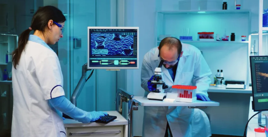 Global Precision Diagnostics Market Size, Trends, and Growth Outlook 2026-2033