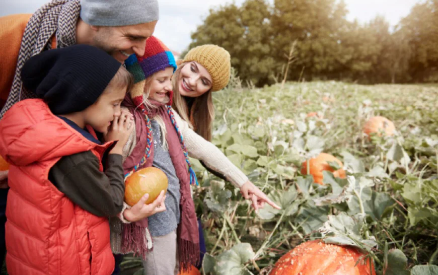 Global Agritourism Market Size, Growth, and Trends Analysis 2026-2033