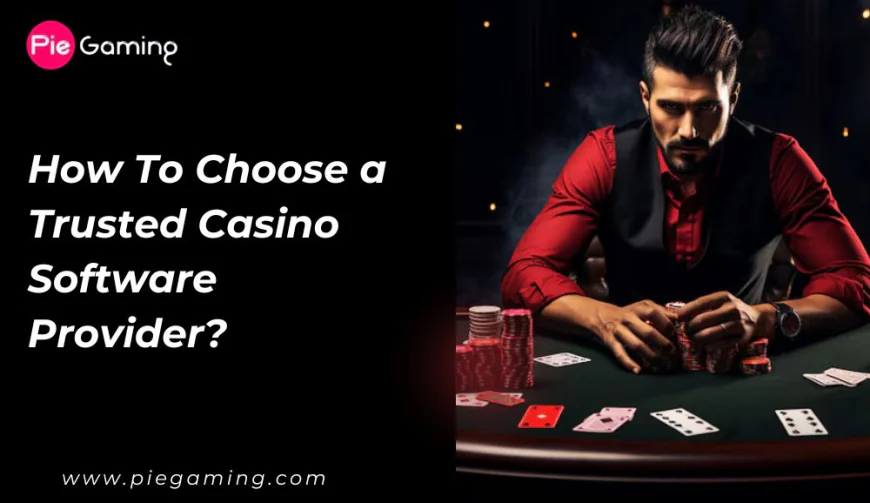 How To Choose a Trusted Casino Software Provider?