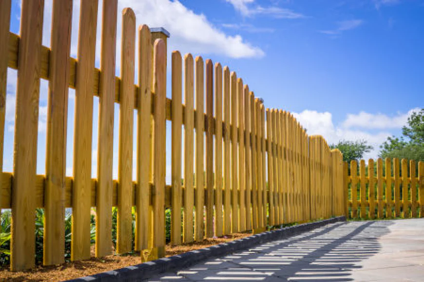 Protect and Beautify Your Home With Expert fence cleaning