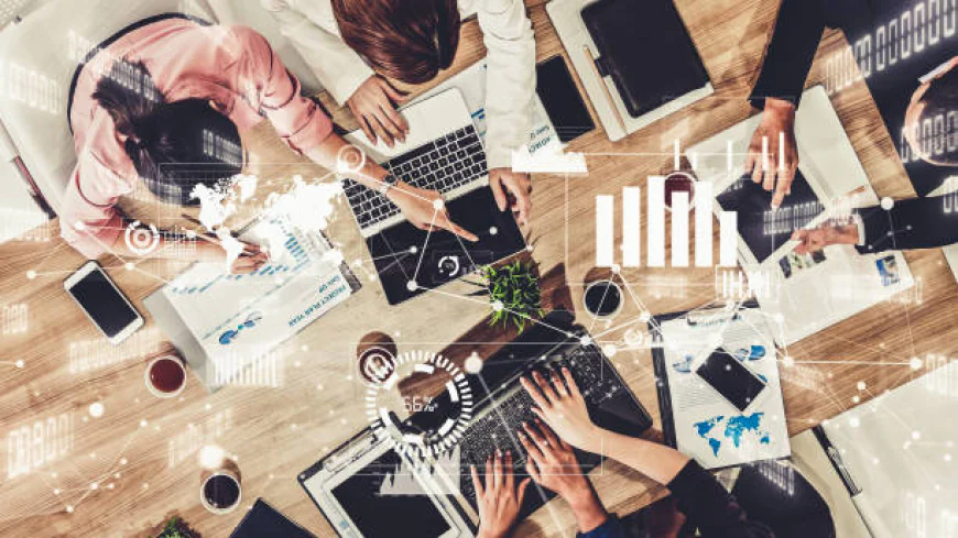 Grow Your Brand Faster with Expert Digital Marketing Solutions in New Zealand