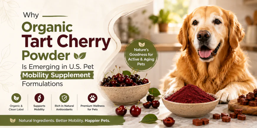 Why Organic Tart Cherry Powder Is Emerging in U.S. Pet Mobility Supplement Formulations