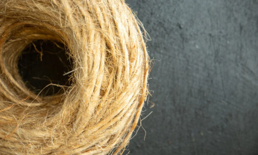 Abaca Fiber Market Size, Trends, and Strategic Outlook 2026-2033