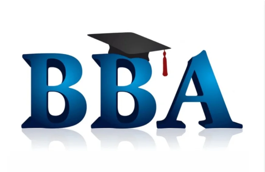 What to Expect During Your BBA Studies: A Student's Guide