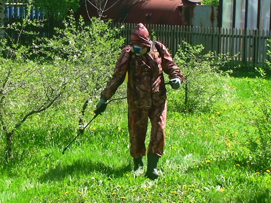 The Art Of Precision: Premium Weed Control For Iconic British Columbia Landscapes