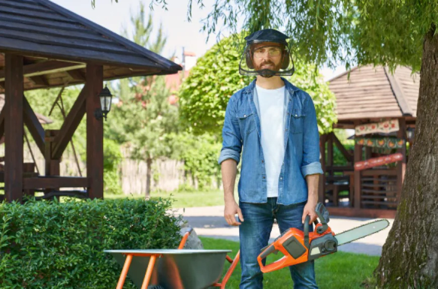 Why Tree Trimming Service Houston Improves Safety And Tree Health