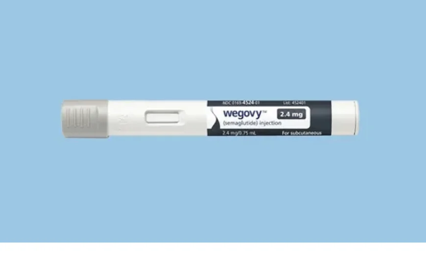 Wegovy Injection in Dubai: The Future of Medical Wellness