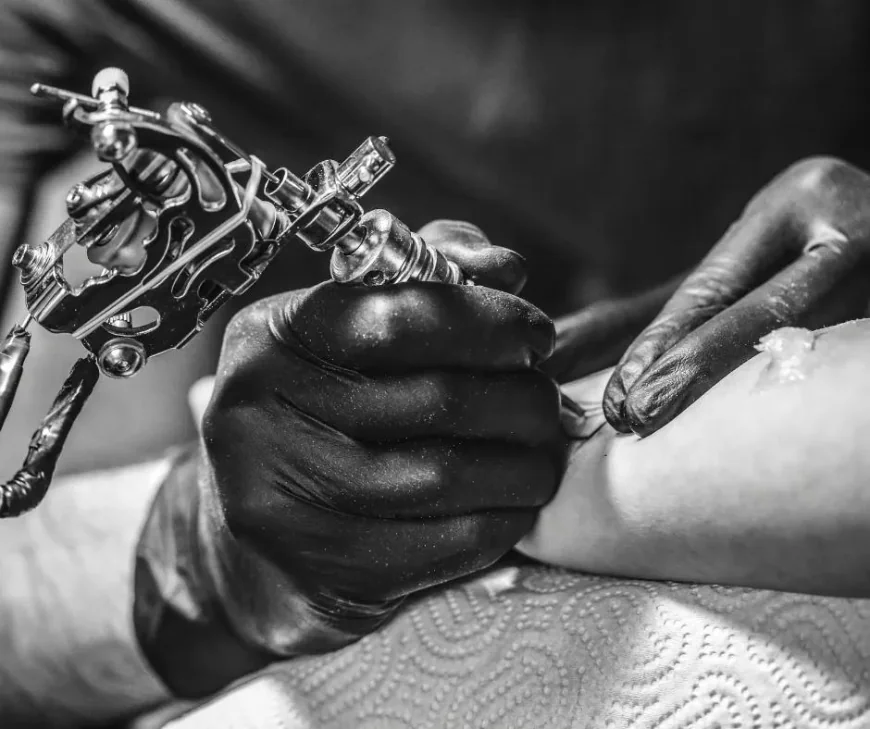 Graphic Tattoo Artist Guide Finding the Best Tattoo Style & Animal Tattoo Inspiration in the USA