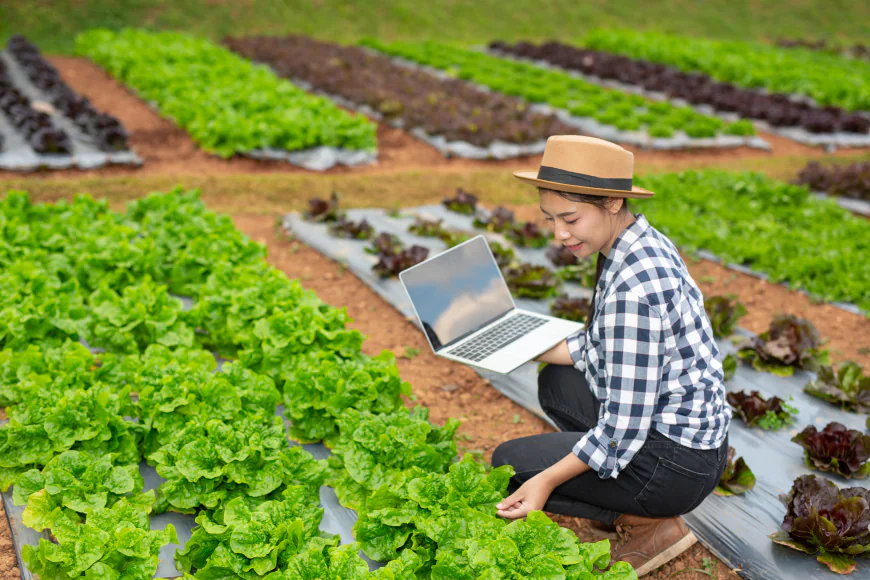 B.Sc. in Agriculture Course Admissions 2026: Eligibility, Course Details & Career Scope
