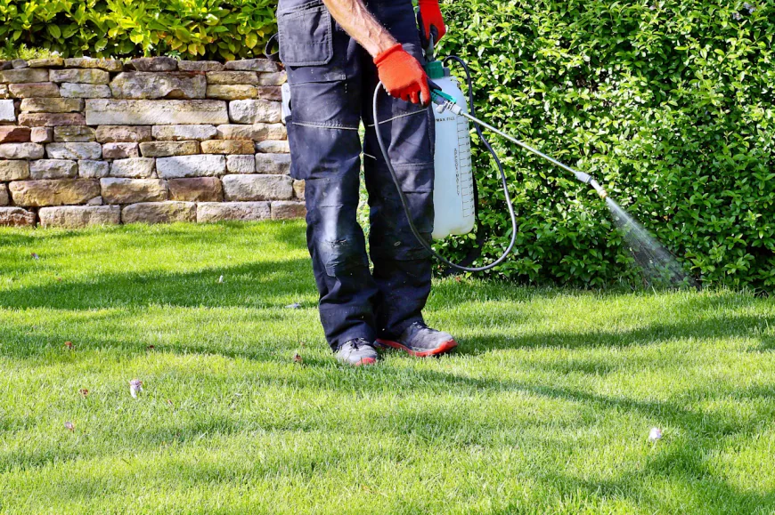 The Gold Standard of Curb Appeal: Premium Weed Control Services Vancouver Residents Trust