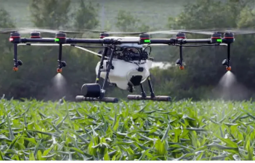 The Sky-High Revolution: How Drones are Transforming Modern Agriculture