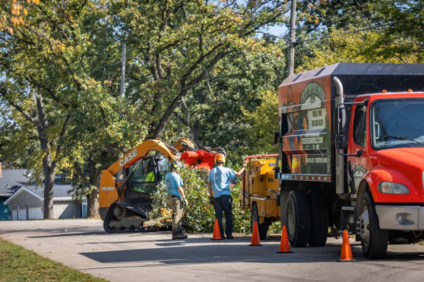 How an Arborist Can Save Your Trees After a Storm
