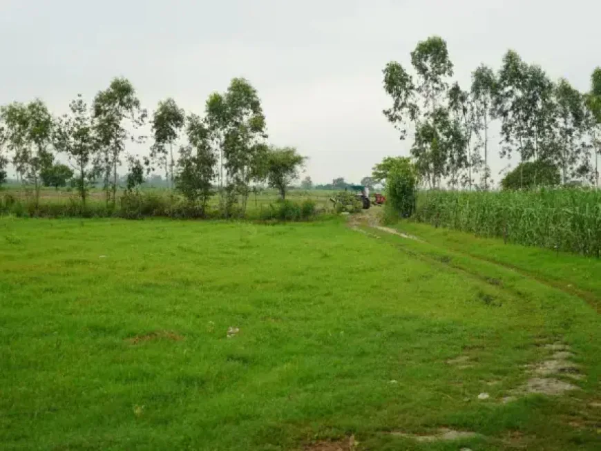 Is Agricultural Land in Garh Mukteshwar a Good Investment?