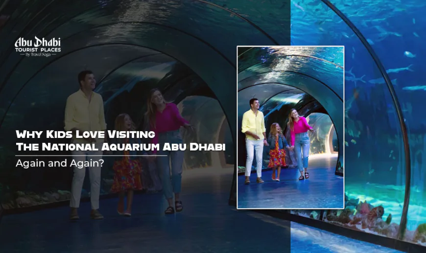 Why Kids Love Visiting The National Aquarium Abu Dhabi Again and Again?