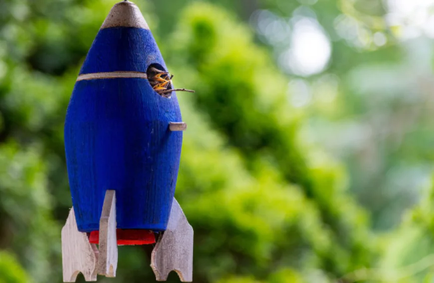 Global Rockets and Missiles Market: Size, Trends, and Growth