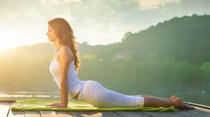 Modern Yoga Trends: How Yoga Is Transforming Healthy Living