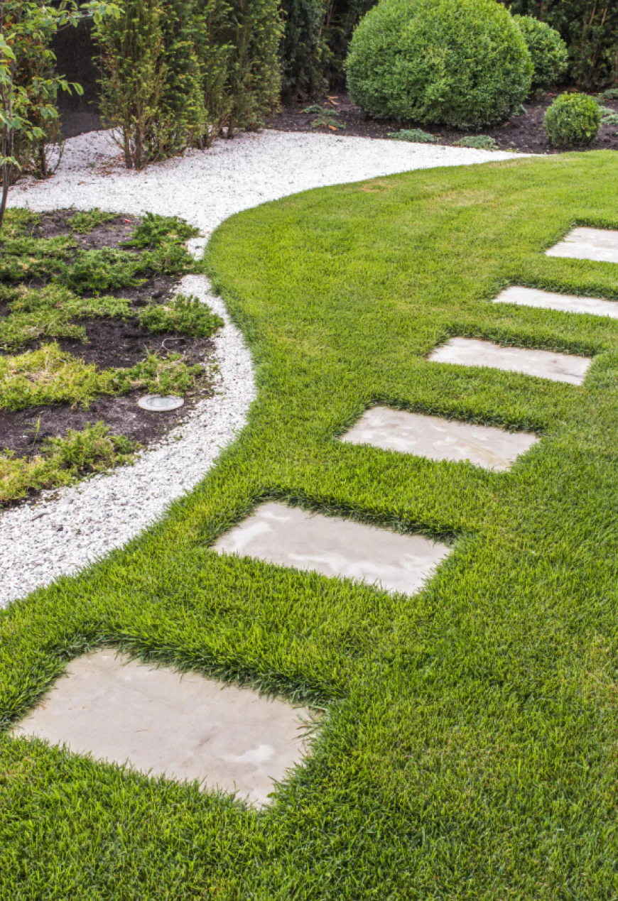 How Can Outdoor Care Improve Property Comfort?