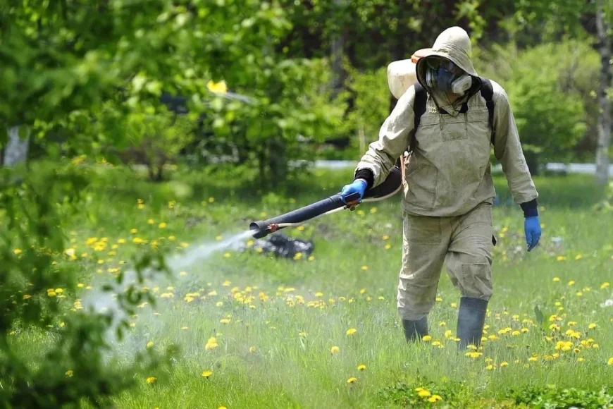 The Definitive Guide to Premium Weed Control and Lawn Mastery in British Columbia