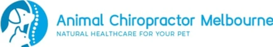Why Your Mate Might Need a Visit to Animal Chiropractor Melbourne