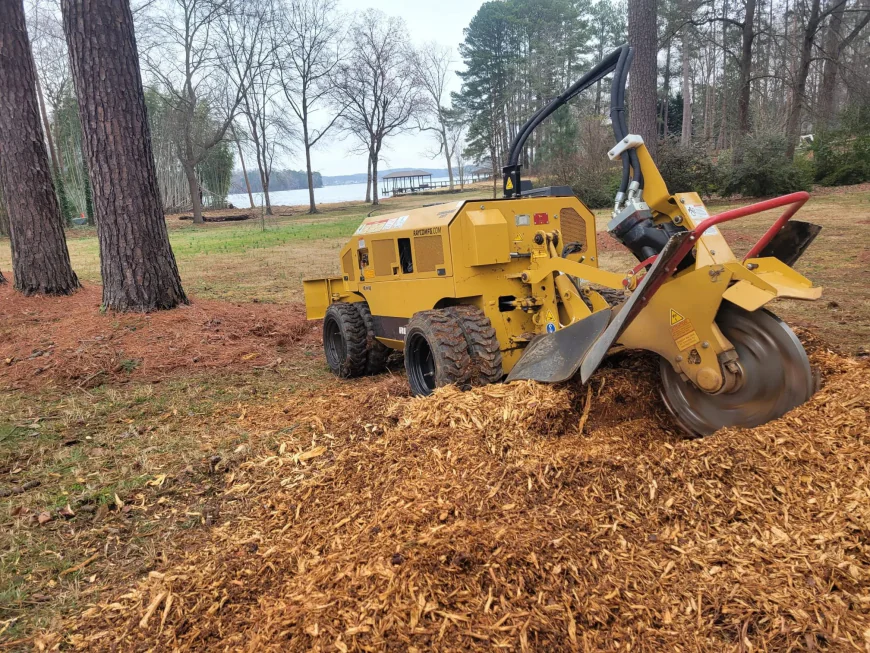 Reliable Stump Grinding Services for Cleaner, Safer Properties in Union County