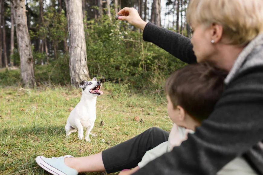 Why Early Puppy Training Is Important for Long-Term Behavior