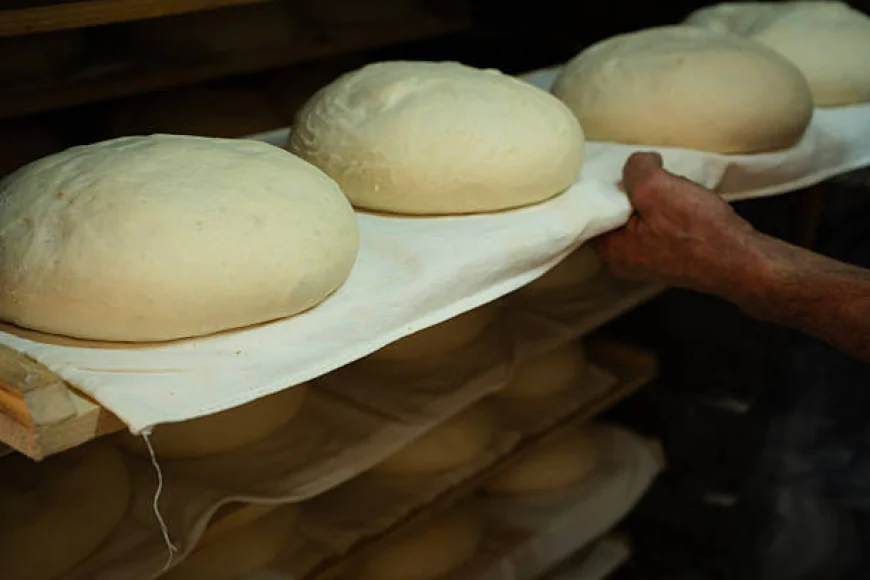 Best Bread Baking Supplies for Homemade and Artisan Bread