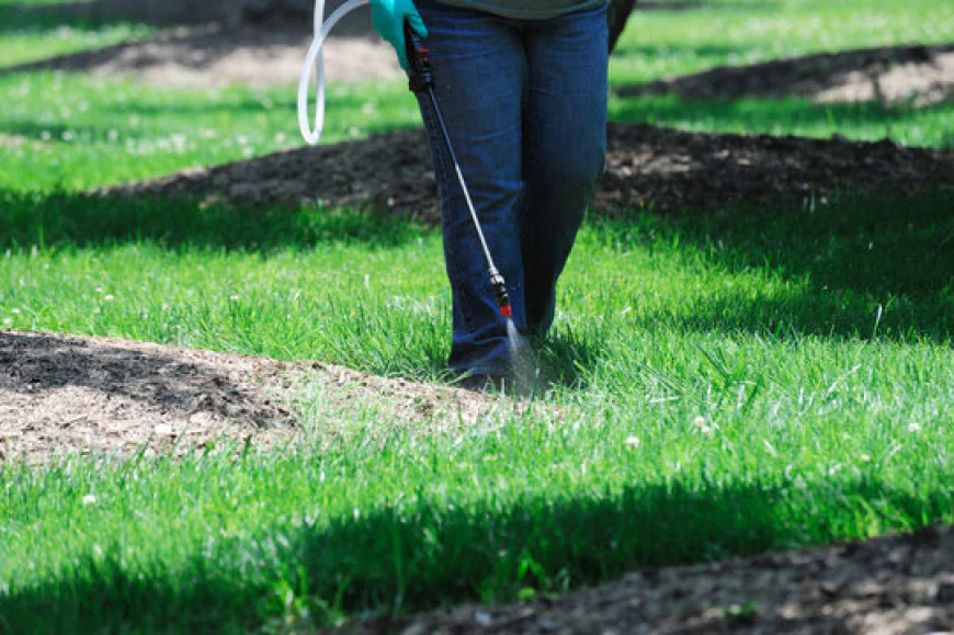 Luxury Lawns: Elevating Surrey Estate Property Values