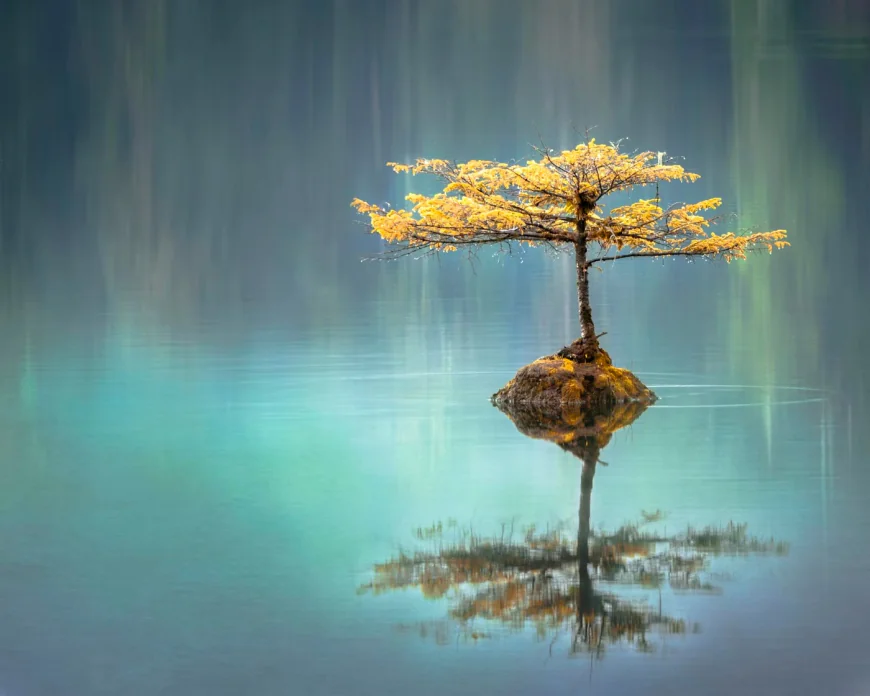 Your Dosha Is Not Just a Body Type — It Is a Map of Your Mind