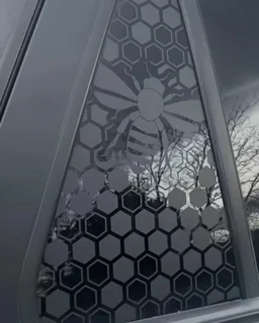 Car Window Decals That Turn Every Drive Into Branding