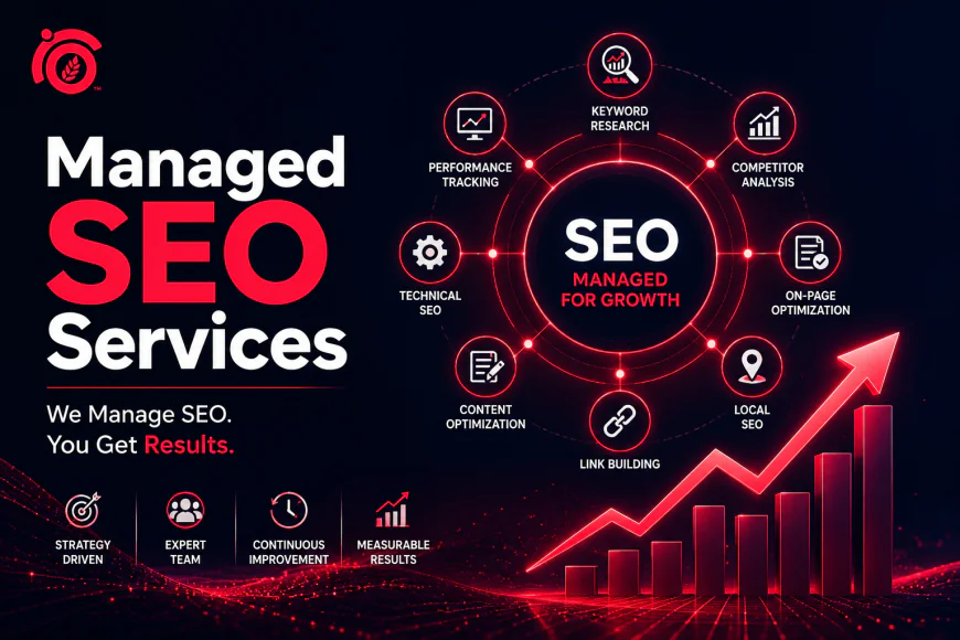 Managed SEO Services: How Students Can Build Future Careers Through Managed Search Engine Optimization