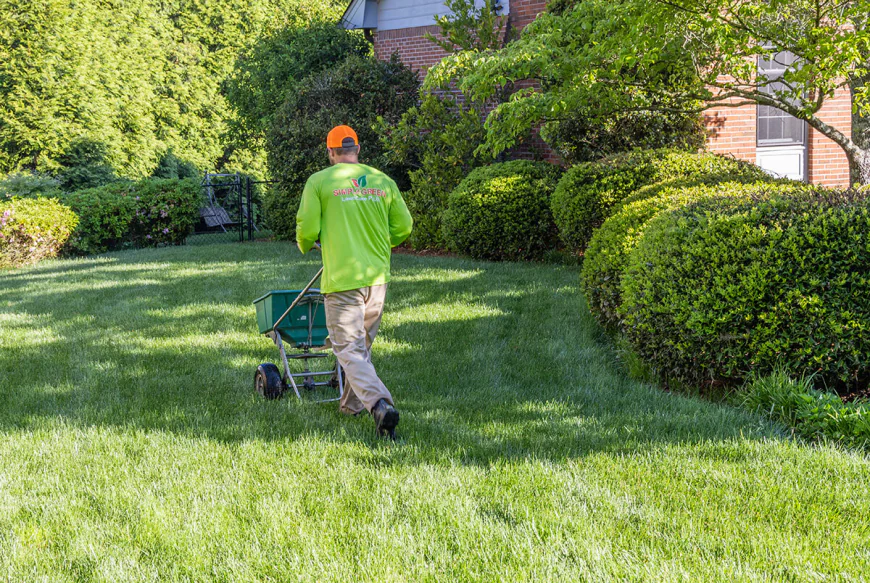 Elevate Your Property Value With Luxury Lawn Care