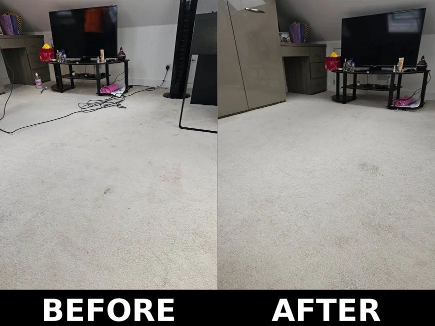 Keep Your Home Fresh With Expert Carpet steam clean Services