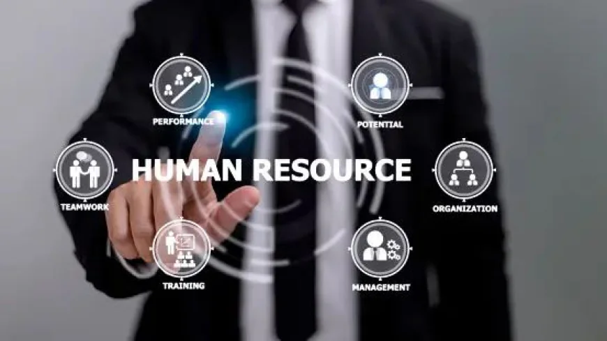 What Businesses Gain From Using Human Resource Information Systems Services