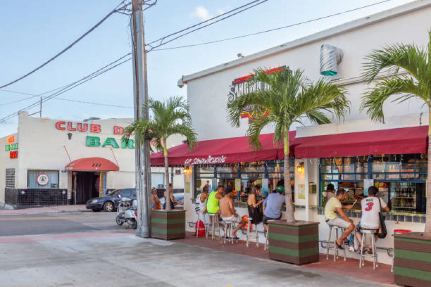 How Kava Bars Became a Miami Trend