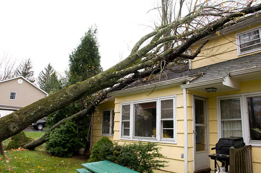 After the storm: Smart steps to restore and protect your property