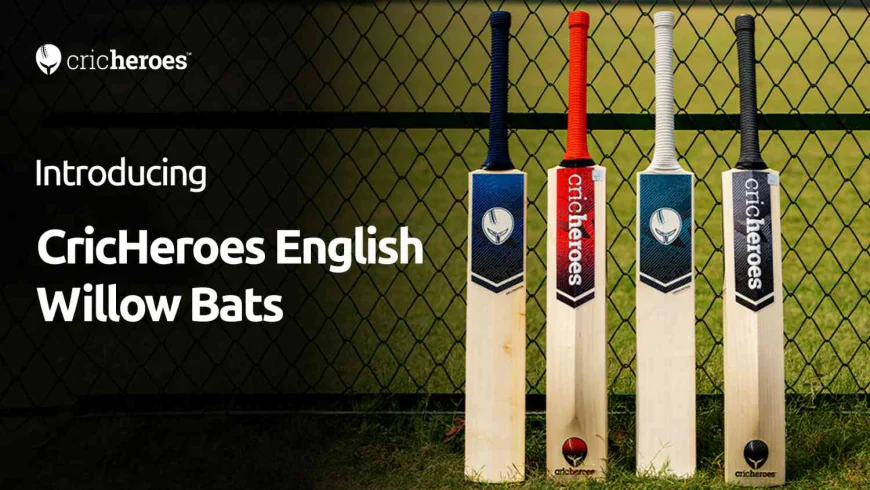Where to buy English willow bat in India without overpaying