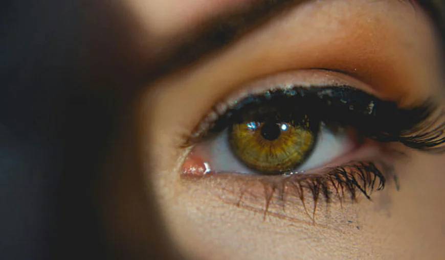 Top Eyelash Extension Trends in India for 2026: Lash Styles Clients Are Obsessed With