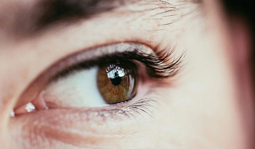 Lash Lift for Short Lashes: A Natural Way to Enhance Your Eyes