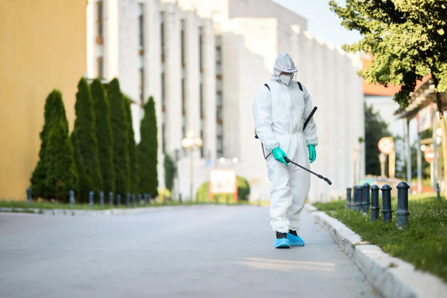 Why Homeowners Trust Professional Spider Exterminator Services in Las Vegas